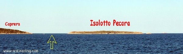 Isolotto Pecora