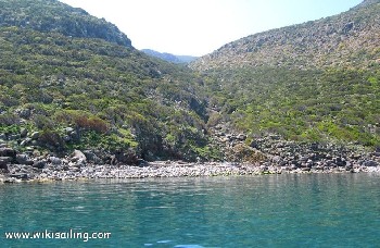 Calla della Mortola (Capraia)