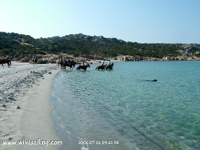 Plage d'Argent - Golfe de Murtoli