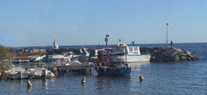 Port de Boulouris - l'Arminette