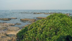 Pointe des Sardinaux