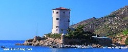 Spiaggia del Campese (I. Giglio)