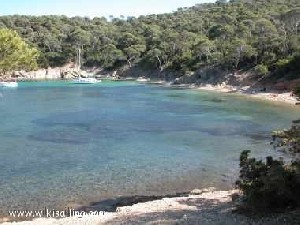 Pointe de l'Alicastre (Porquerolles)