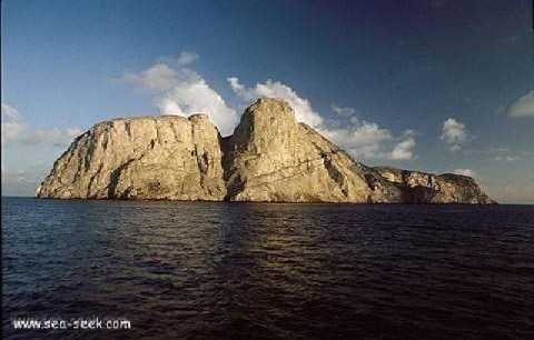 Malpelo island