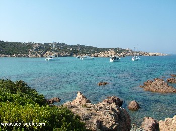 Plage d'Argent - Golfe de Murtoli