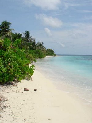 Muli (Maldives)