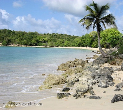 Baie des Irois (Marie-Galante)