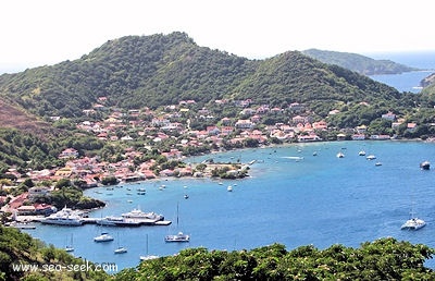 Anse du Bourg (THaut) (Les Saintes)