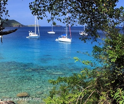 Anse à Cointe (THaut) (Les Saintes)