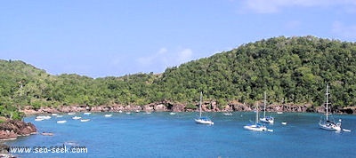 Anse Fideling (TBas) (Les Saintes)