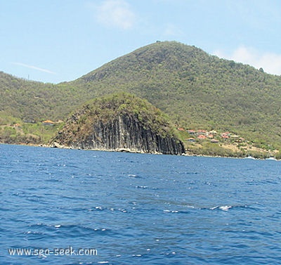 Anse à Cointe (THaut) (Les Saintes)