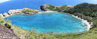 Baie de Pont Pierre (THaut) (Les Saintes)