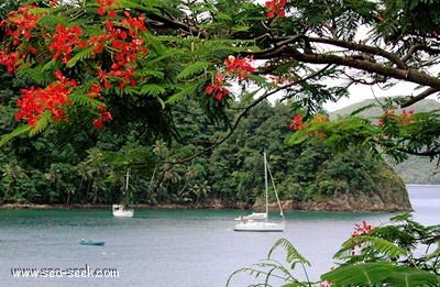 Toukari Bay (La Dominique)