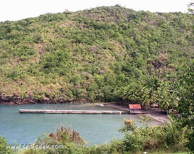 Anse Noire (Martinique)