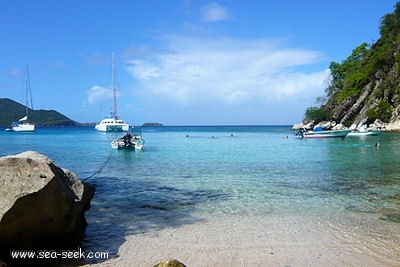 Anse à Cointe (THaut) (Les Saintes)