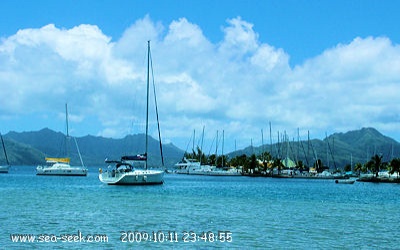 Marina d'Apooiti (Raiatea) (I. Société)