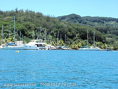 Marina d'Apooiti (Raiatea) (I. Société)