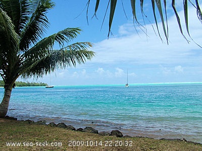 Baie d'Avea (Huahine Iti) (I. Sous Vent)