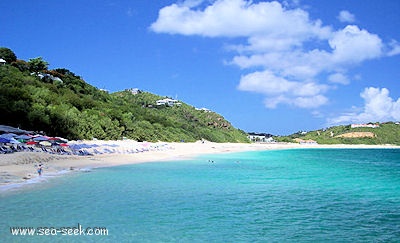 Baie rouge (St martin)