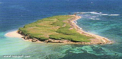 Caye verte (St Martin)