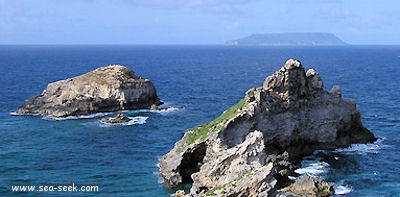 La Desirade (Guadeloupe)
