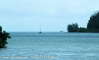 Baie de Faaroa (Raiatea) (I. Société)