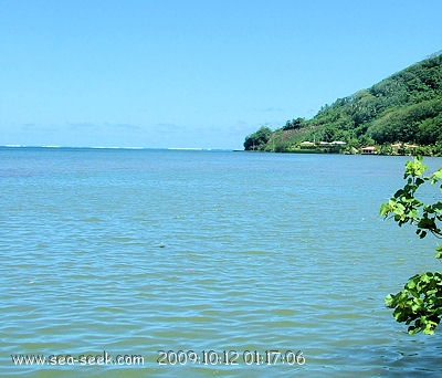 Baie Faatemu (Raiatea) (I. Société)