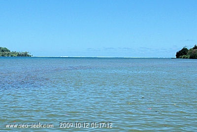 Baie Faatemu (Raiatea) (I. Société)