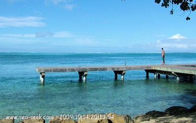 Port Fare (Huahine Nui) (I. Sous Vent)