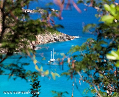 Anse du Gouverneur (St Barts)