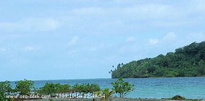 Baie Hotopuu (Raiatea) (I. Société)