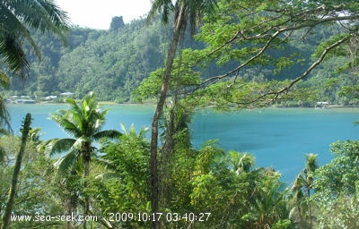 Baie Hotopuu (Raiatea) (I. Société)