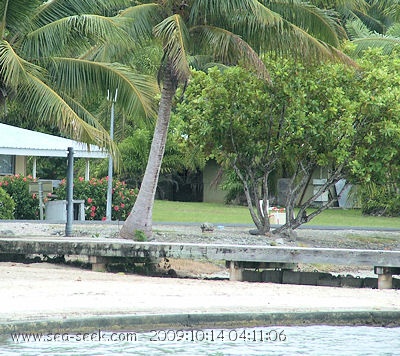 Baie de Opoa (Raiatea) (I. Société)