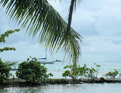 Baie de Opoa (Raiatea) (I. Société)