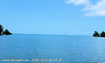 Baie de Haamanimo - Pufau (Raiatea) (I. Société)