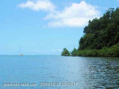 Baie de Haamanimo - Pufau (Raiatea) (I. Société)