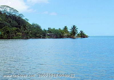 Baie de Haamanimo - Pufau (Raiatea) (I. Société)