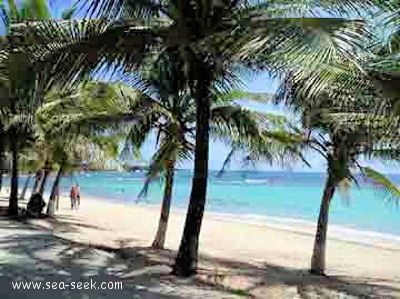 Anse Petite Rivière  (Désirade)