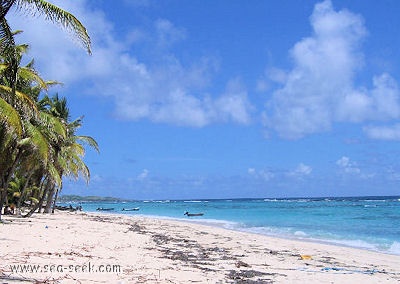 Plage du Souffleur (Désirade)