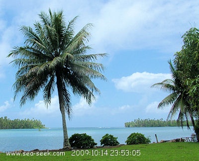 Passe Tiare (Huahine Nui) (I. Sous Vent)