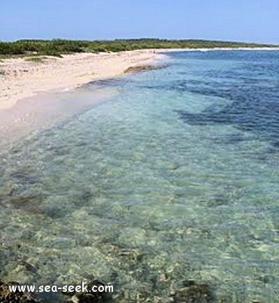 Baie Blanche (Tintamarre)