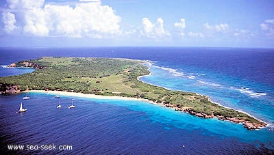 Île Tintamarre (St Martin)