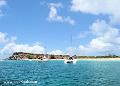 Baie Blanche (Tintamarre)