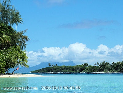 Motu Toahotu et Mahaea (Tahaa) (I. Société)