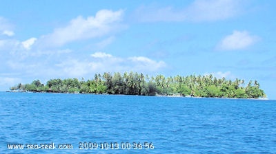 Motu Toahotu et Mahaea (Tahaa) (I. Société)