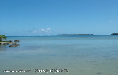 Baie Tuatau (Raietea) (I. Société)