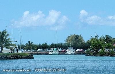 Marina d'Uturoa (Raiatea) (I. Société)