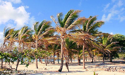 Anse des Galets (La Désirade)