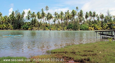 Maeva (Huahine Nui) (I. Sous Vent)