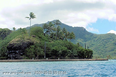 Baie de Haamene (Tahaa) (I. Société)